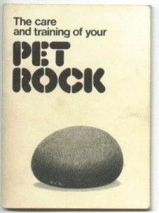 pet-rock